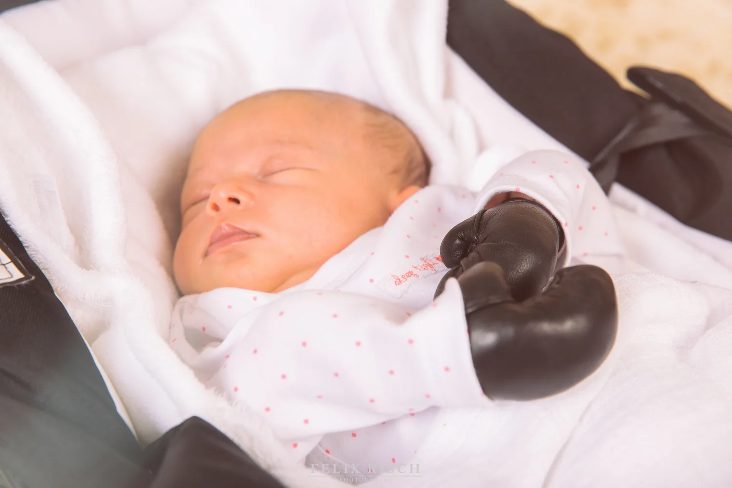 Max_Babyshooting (17 von 53).jpg
