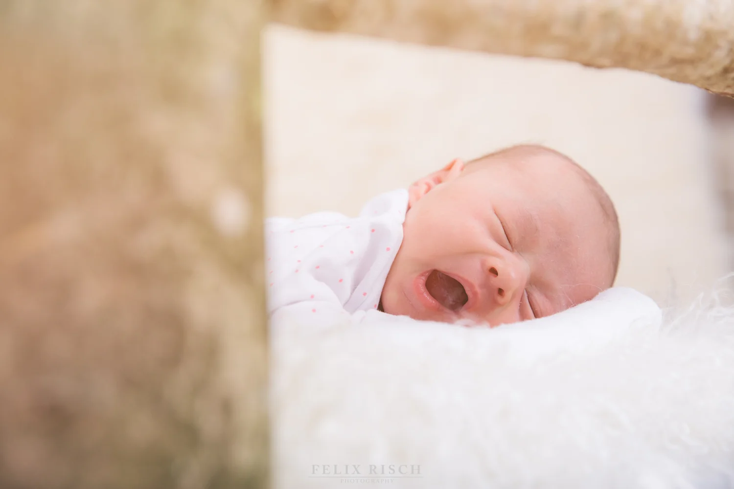 Max_Babyshooting (21 von 53).jpg