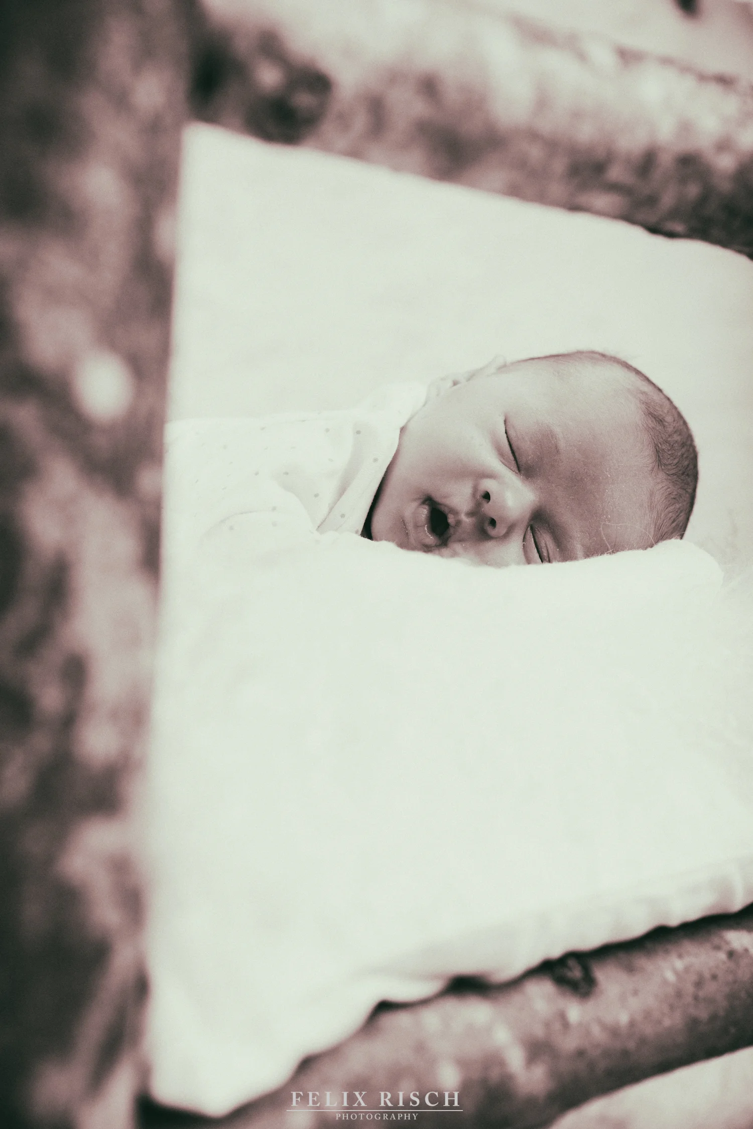 Max_Babyshooting (22 von 53).jpg