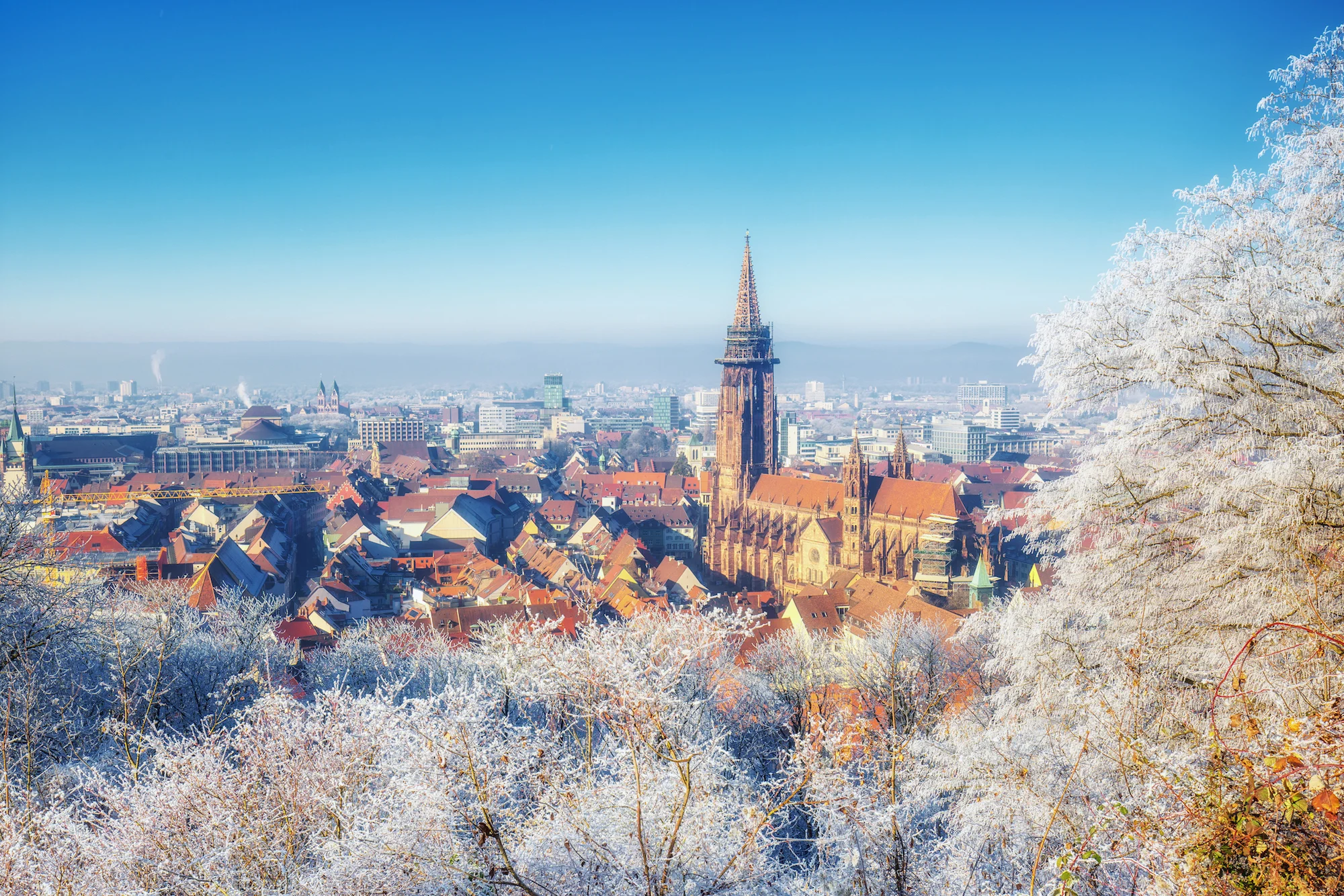 Neujahr (5 von 19).jpg
