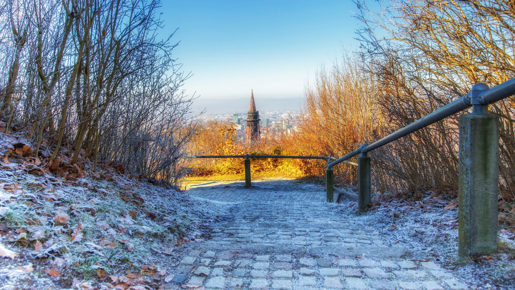 Neujahr (14 von 19).jpg