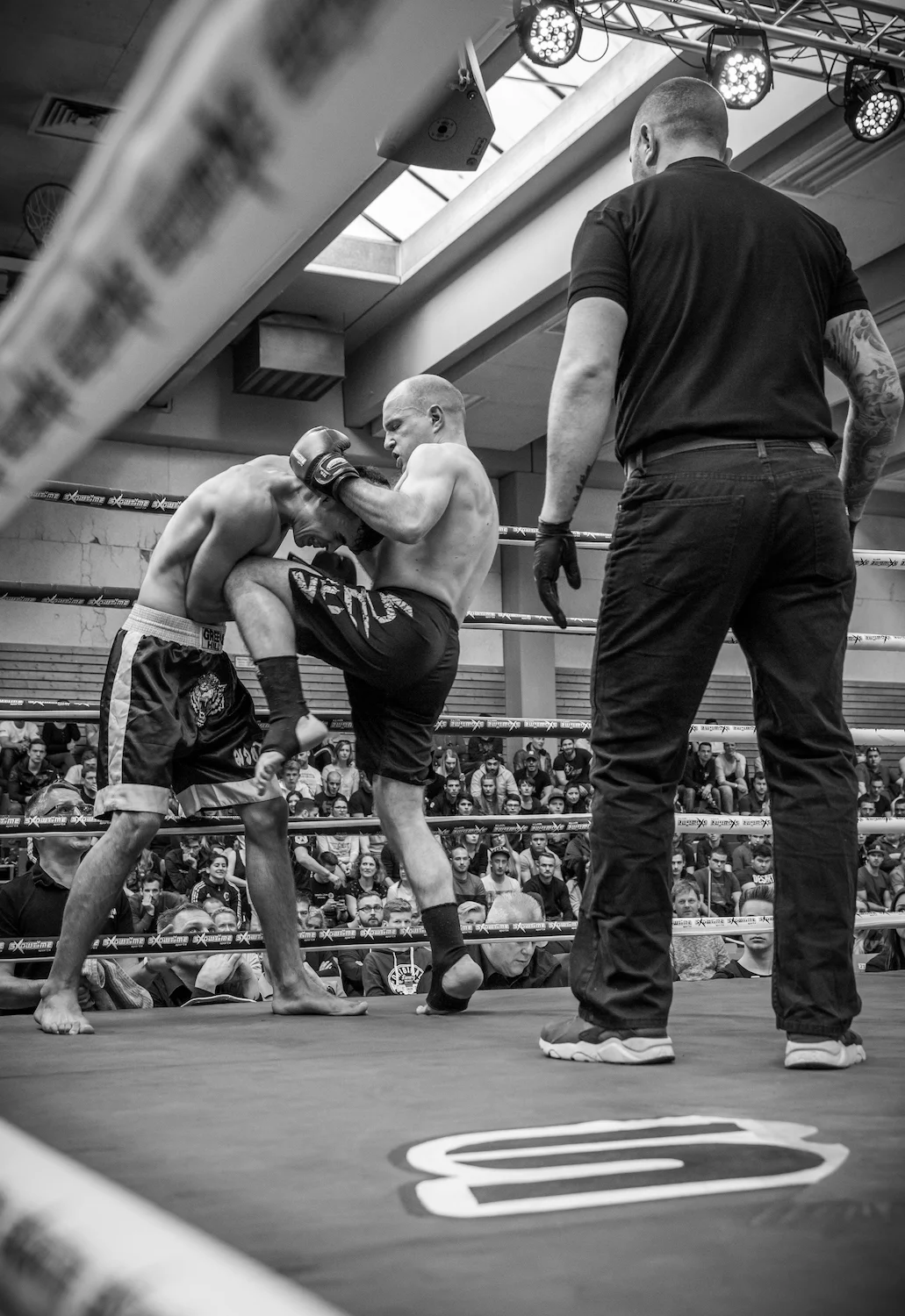 CFN2017Teil1 (32 von 150).jpg