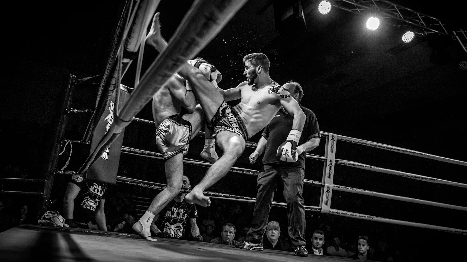 CFN2017Teil2 (153 von 237).jpg