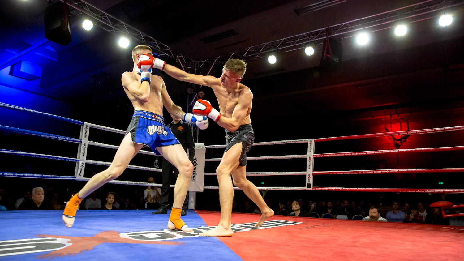 CFN2017Teil2 (206 von 237).jpg