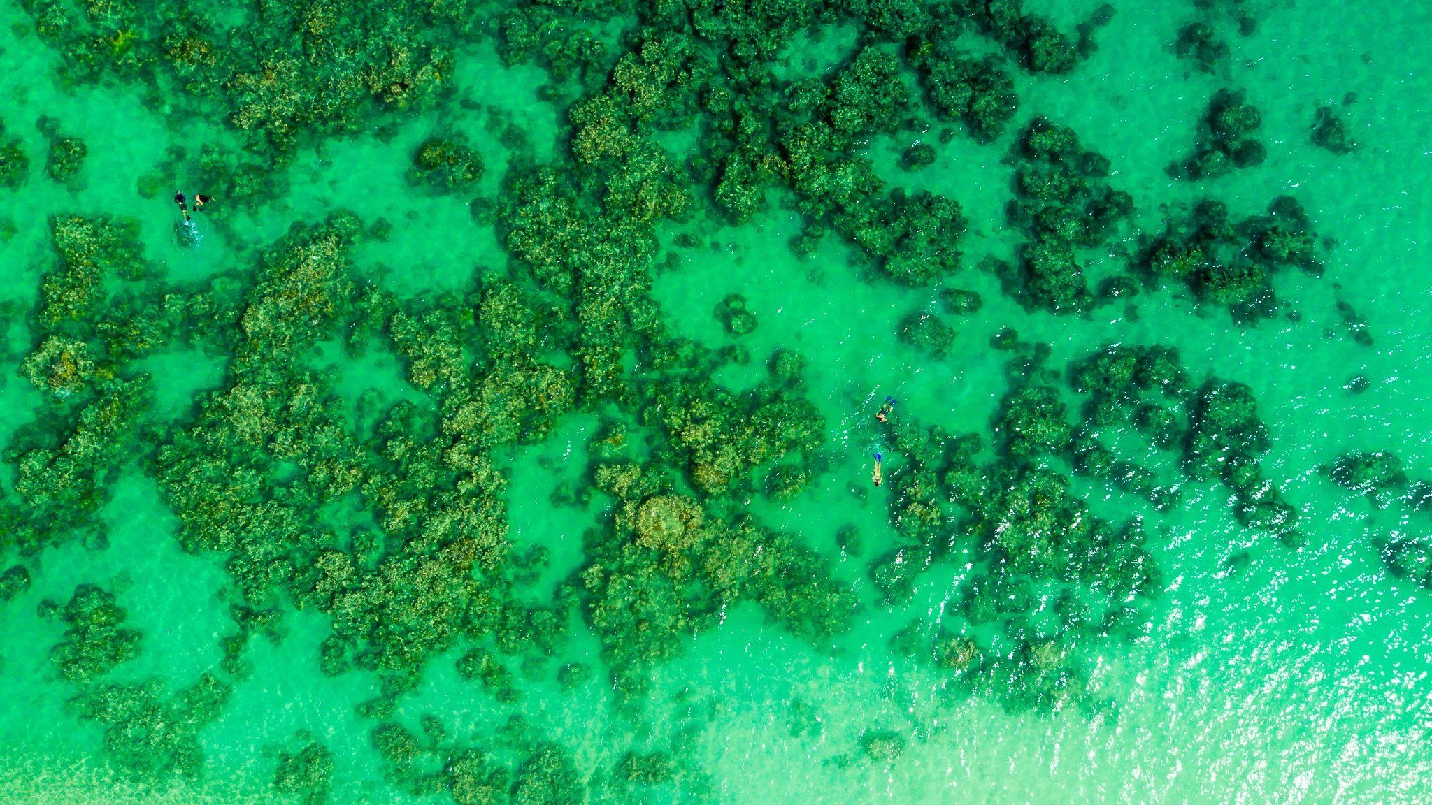 Hawaii_Mavic_Lanikai_Klein (6 von 17).jpg