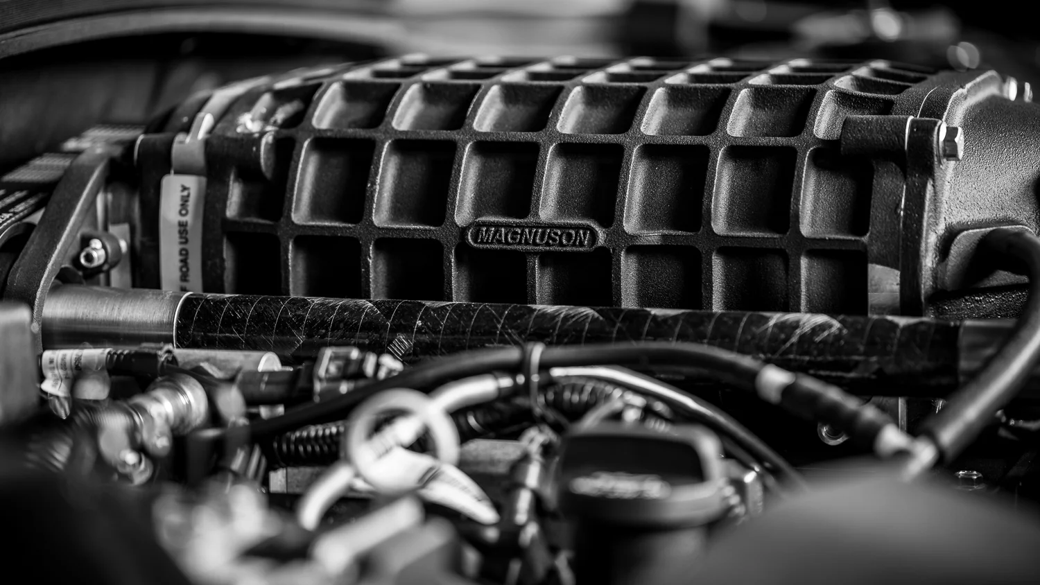 Camaro-WEB (4 von 17).jpg