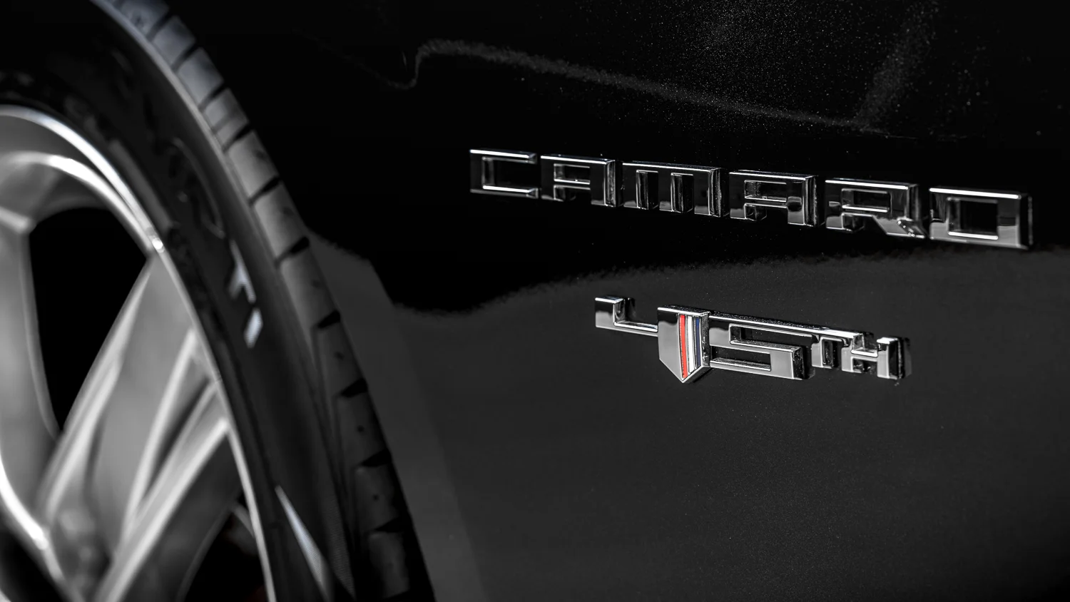 Camaro-WEB (7 von 17).jpg