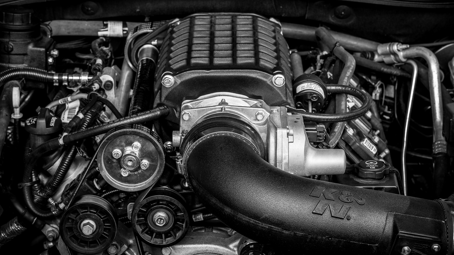 Camaro-WEB (3 von 17).jpg