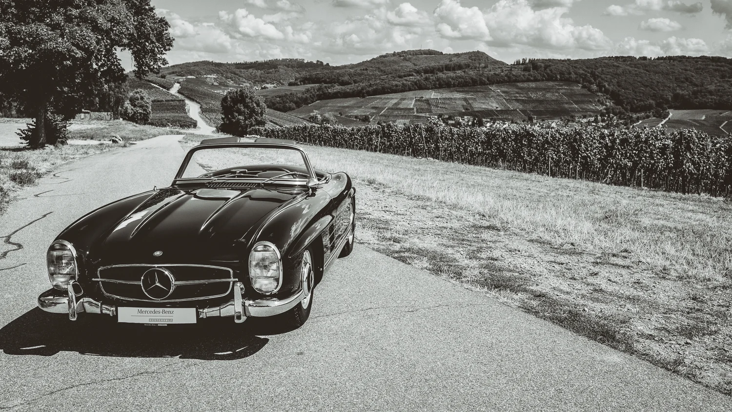 300&190SL_WEB (16 von 29).jpg