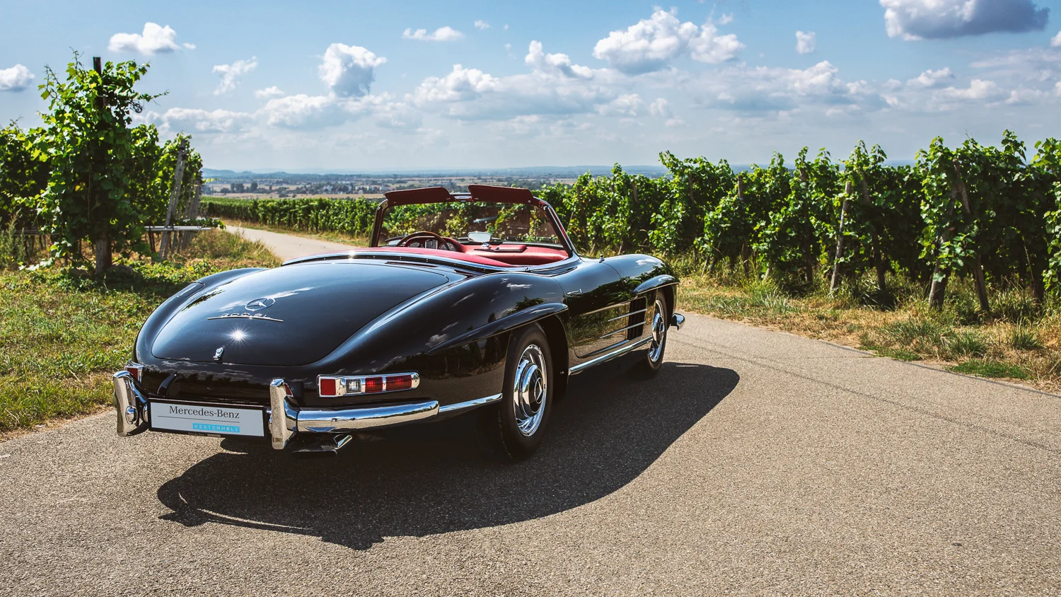300&190SL_WEB (20 von 29).jpg