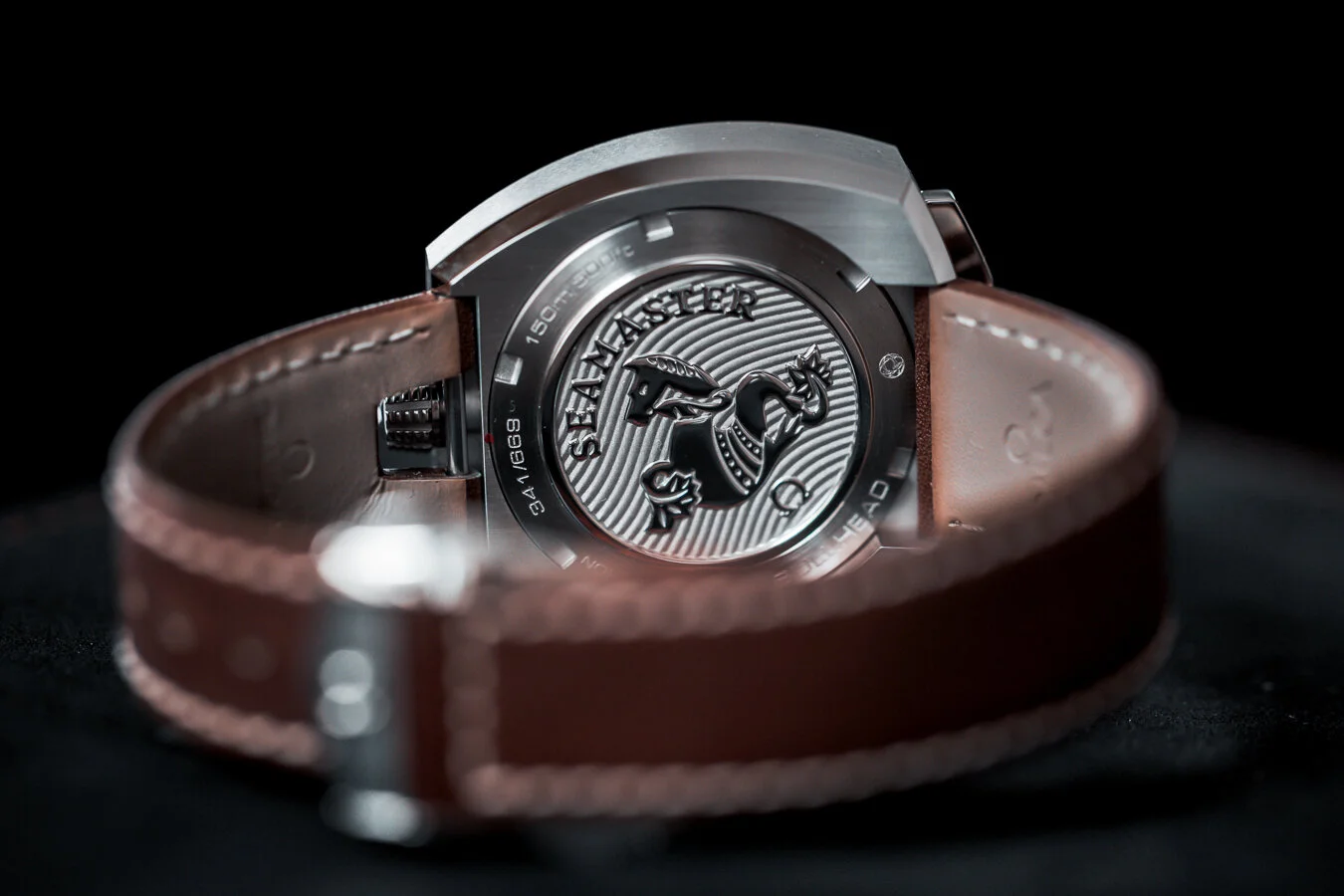 Omega-Bullhead-Insta (7 von 10).jpg