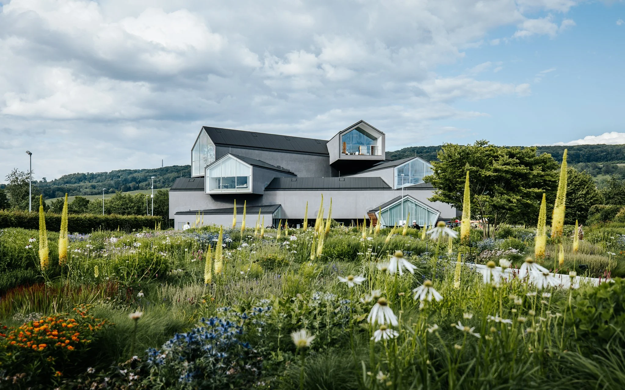 Vitra-Campus-Summer-Party2024-WEB (35 von 65).jpg