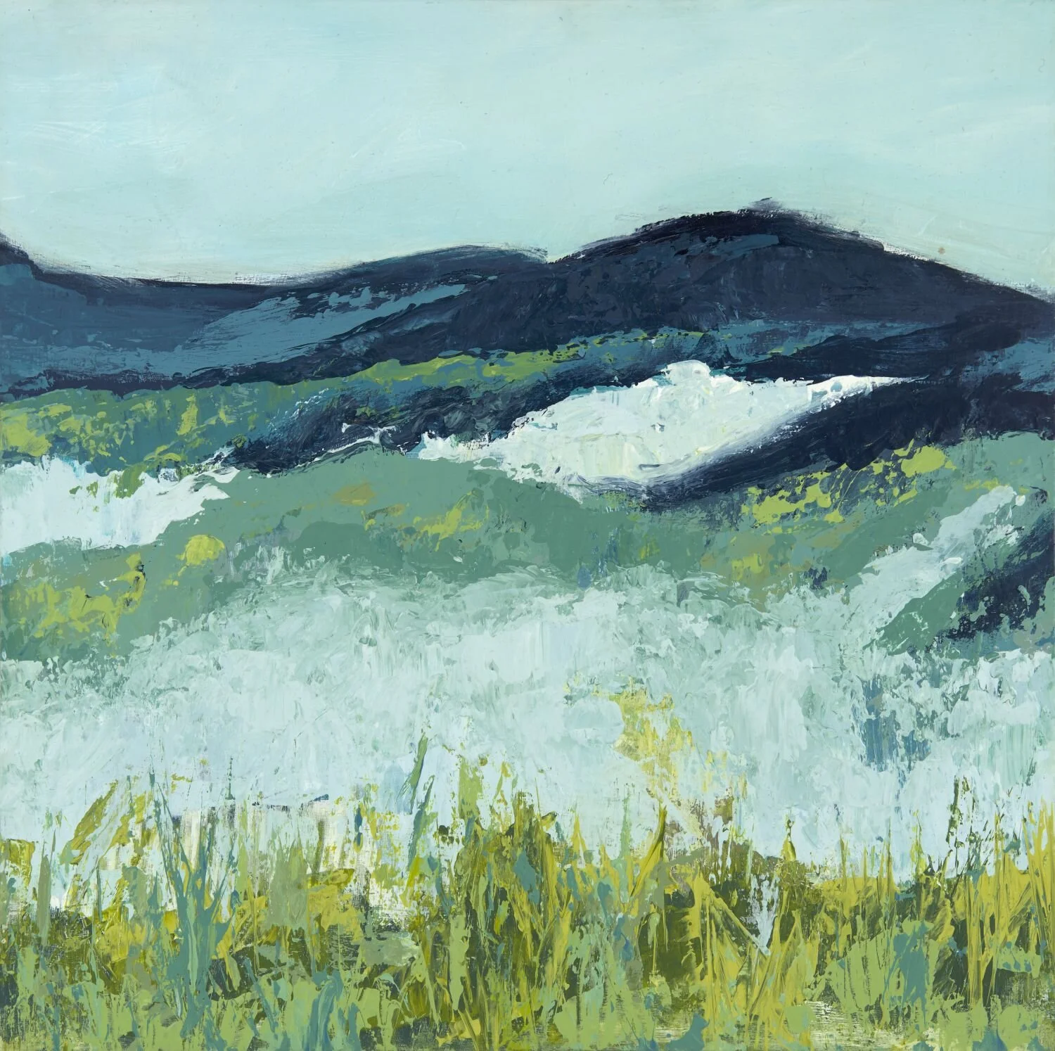 Spring Meadows 2