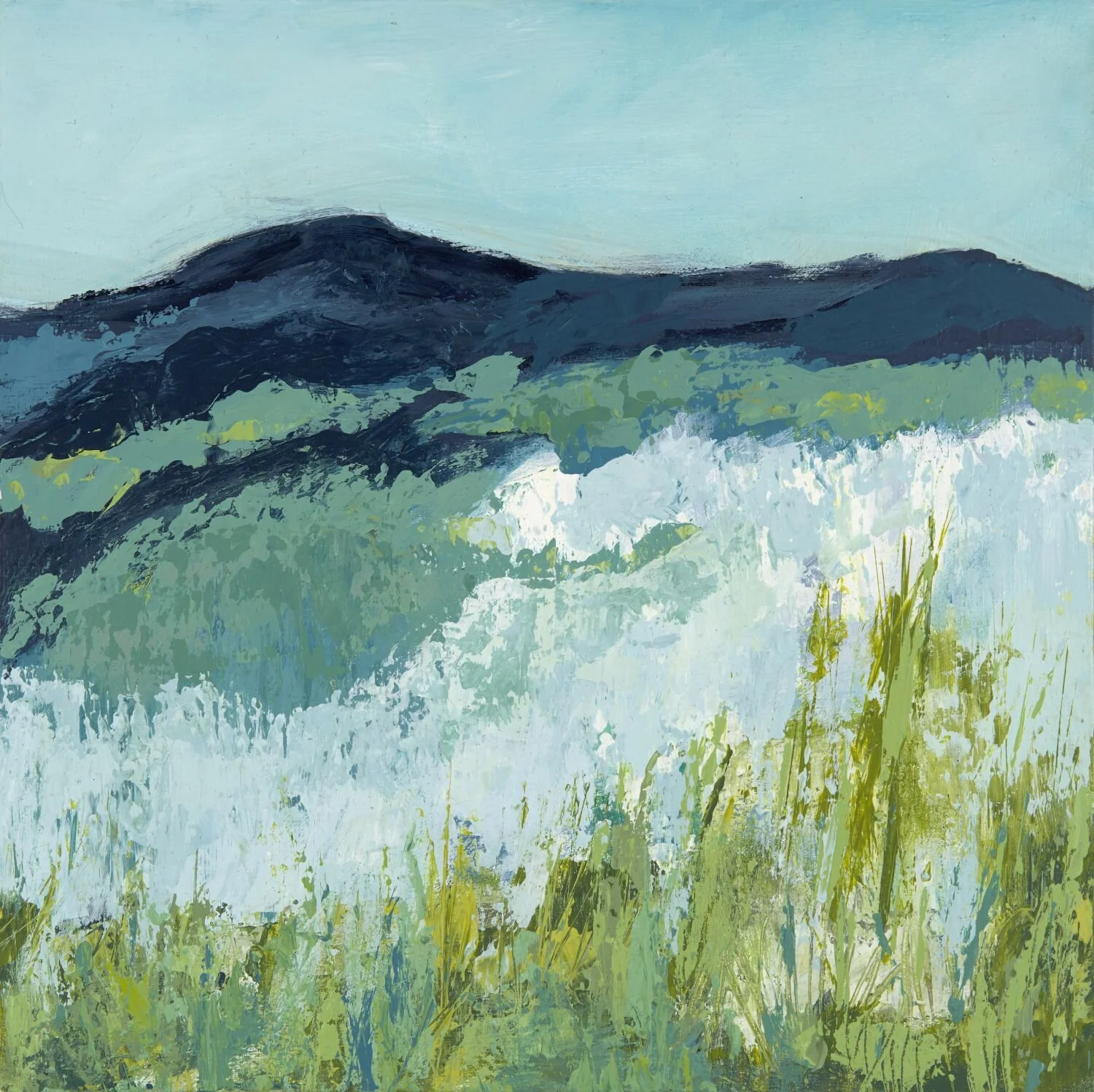 Spring Meadows 3