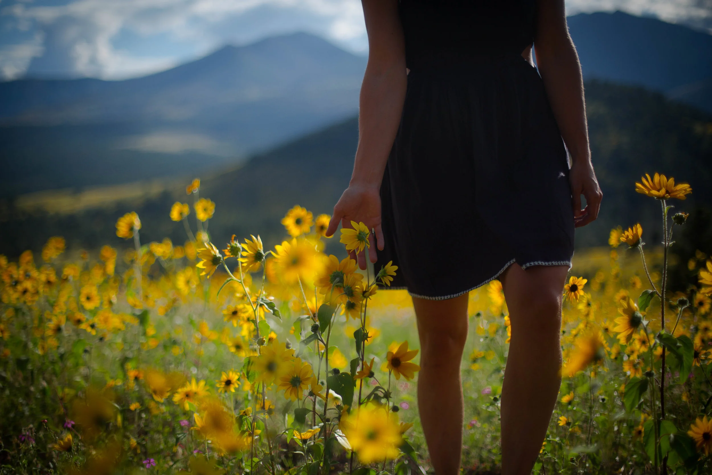 2016_08_31_Flagstaff Flowers_5DMMK3_STILLS_0059.jpg