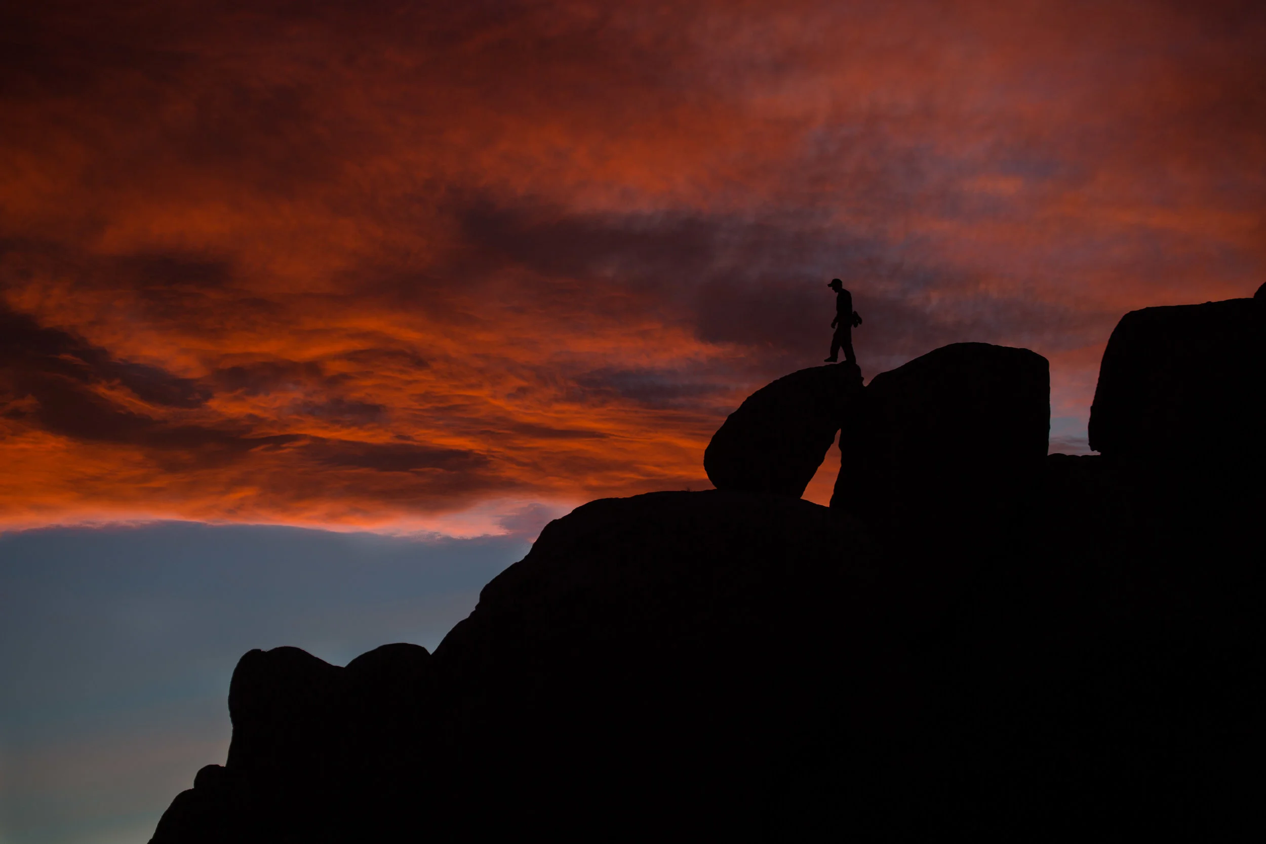 2016_12_11_Joshua Tree_5DMK3_STILLS_2568.jpg
