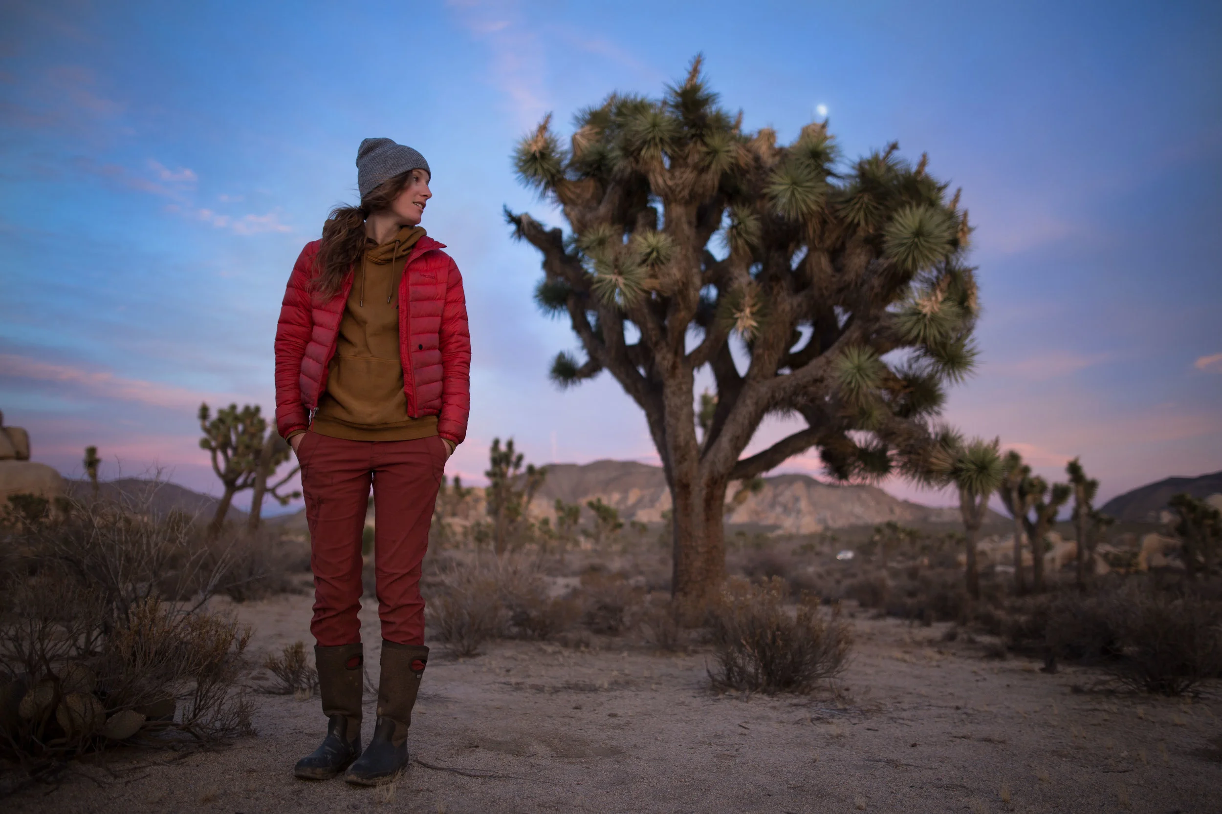2016_12_11_Joshua Tree_5DMK3_STILLS_2497.jpg