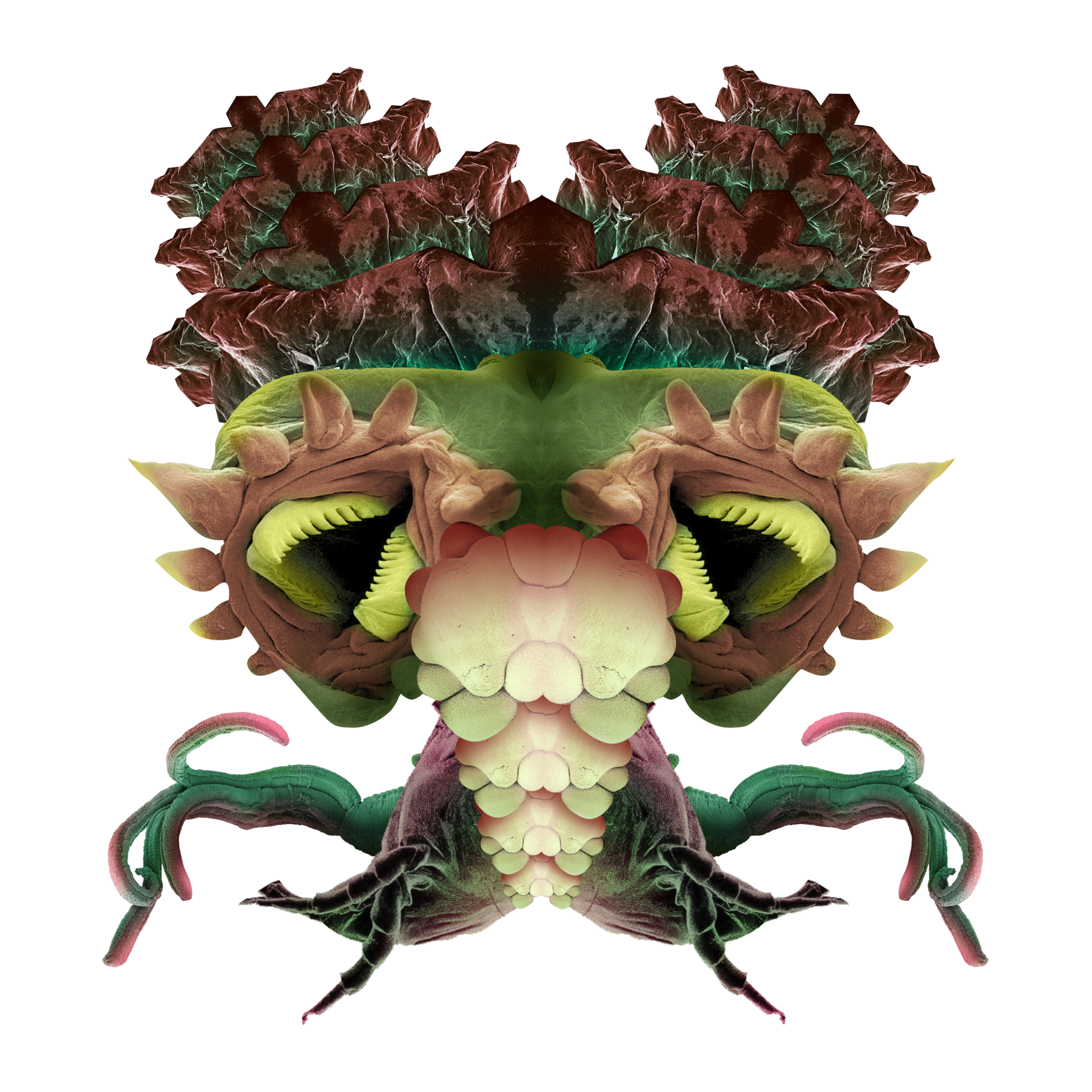 senpityié - couleur.png