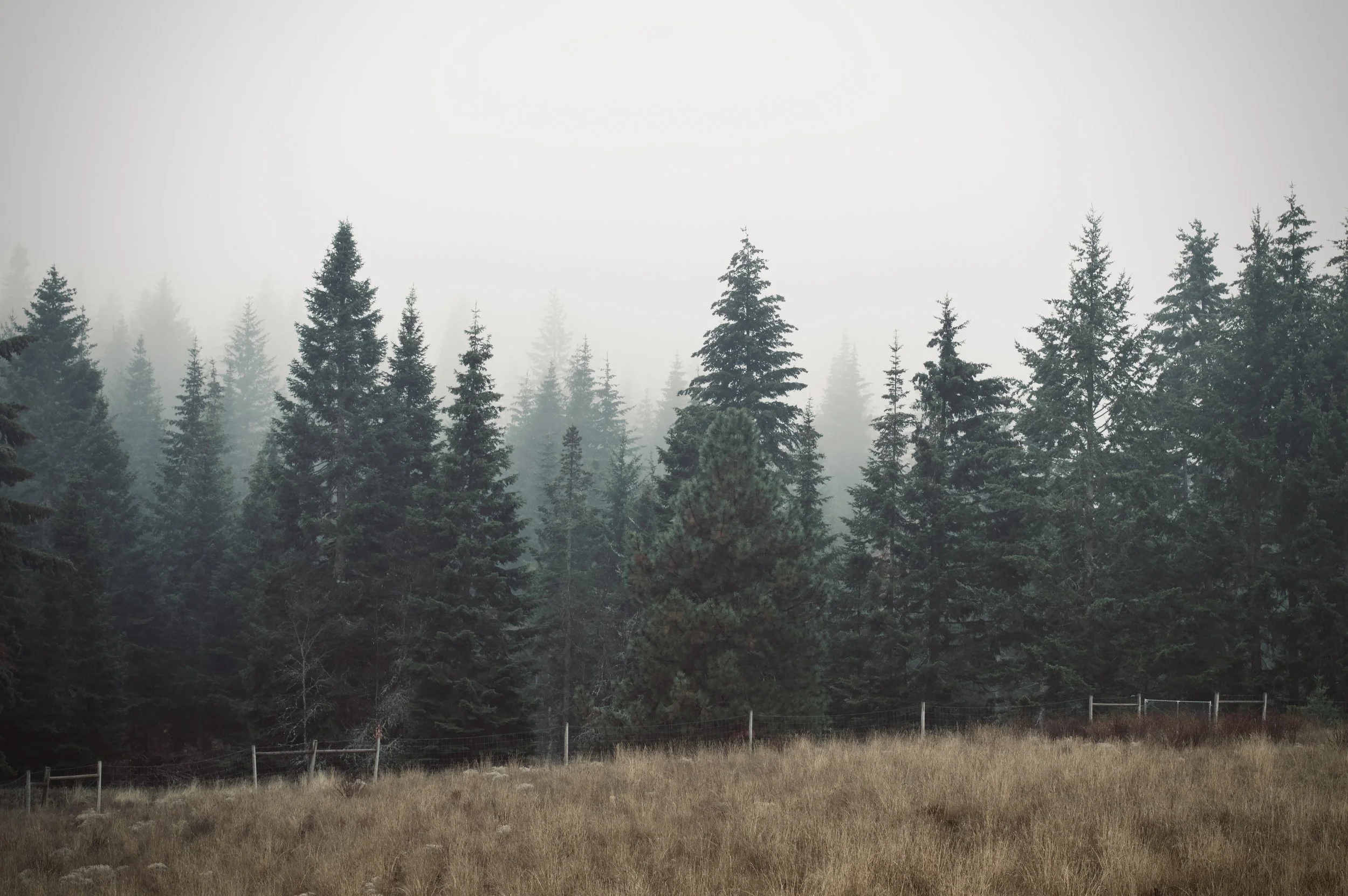 I live in the clouds