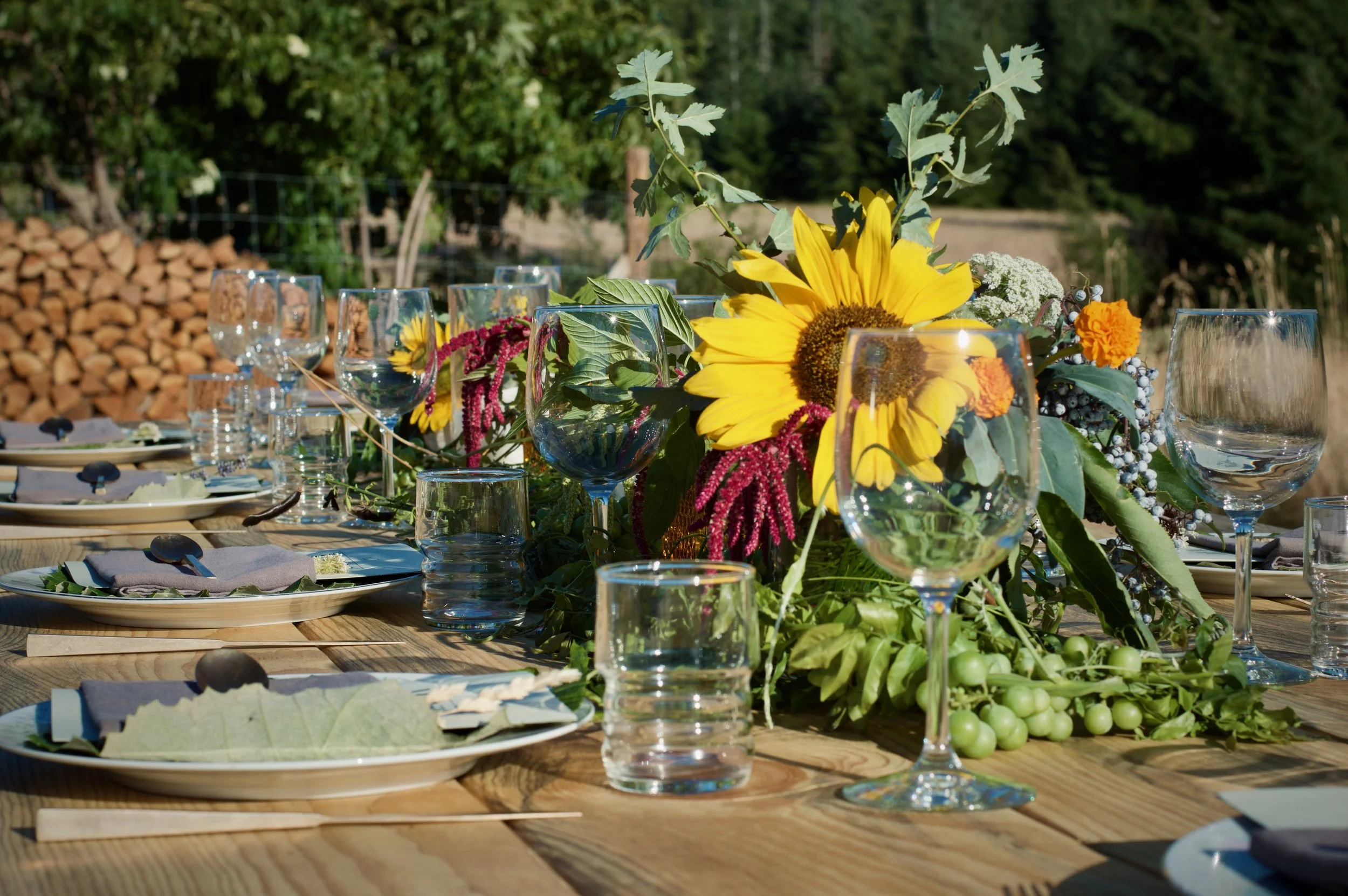 Late Harvest Dinner