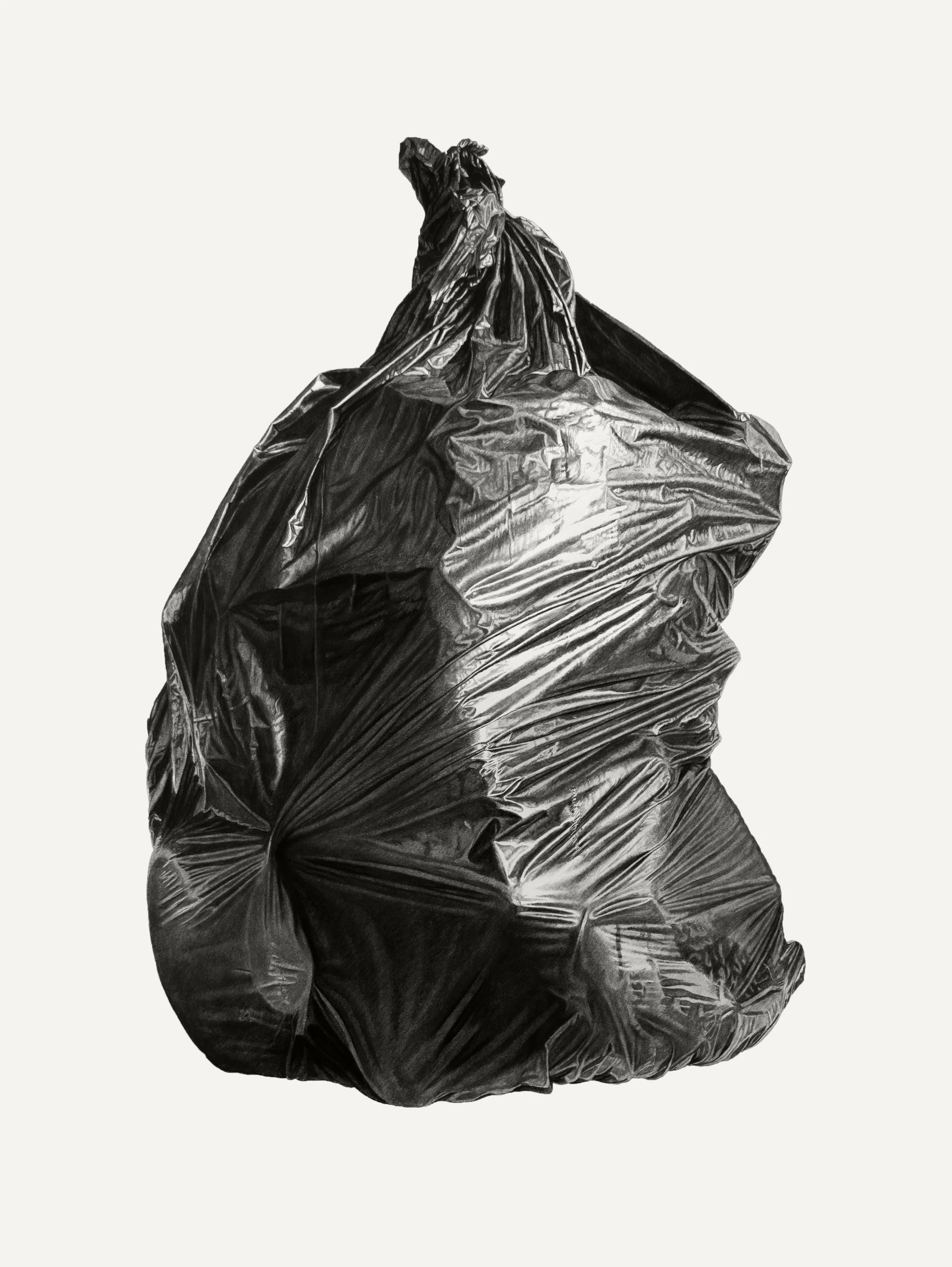 Neighborhood Still Life #9 (Black Bag)