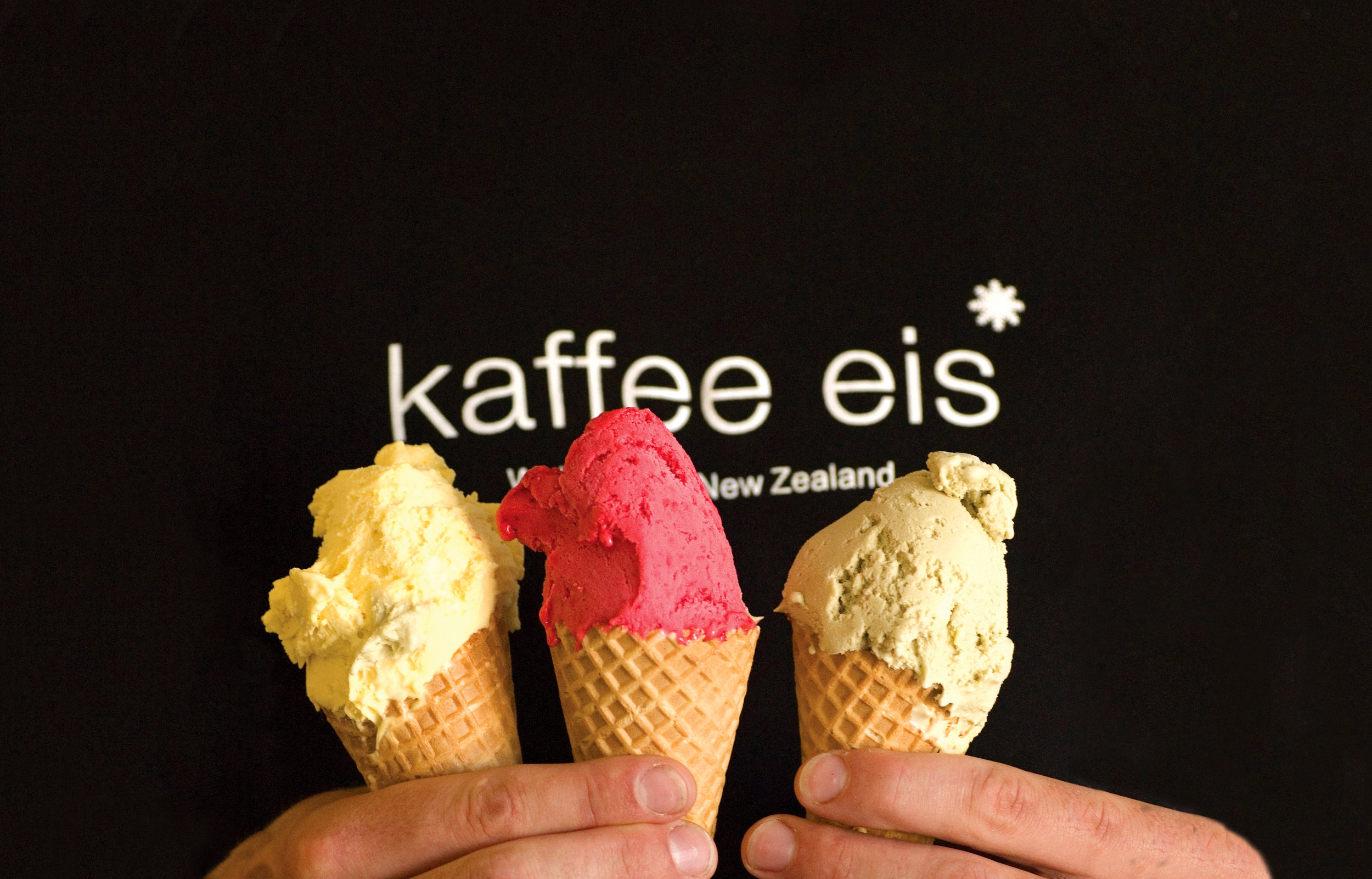 Web Head Triple Cone RGB.jpg