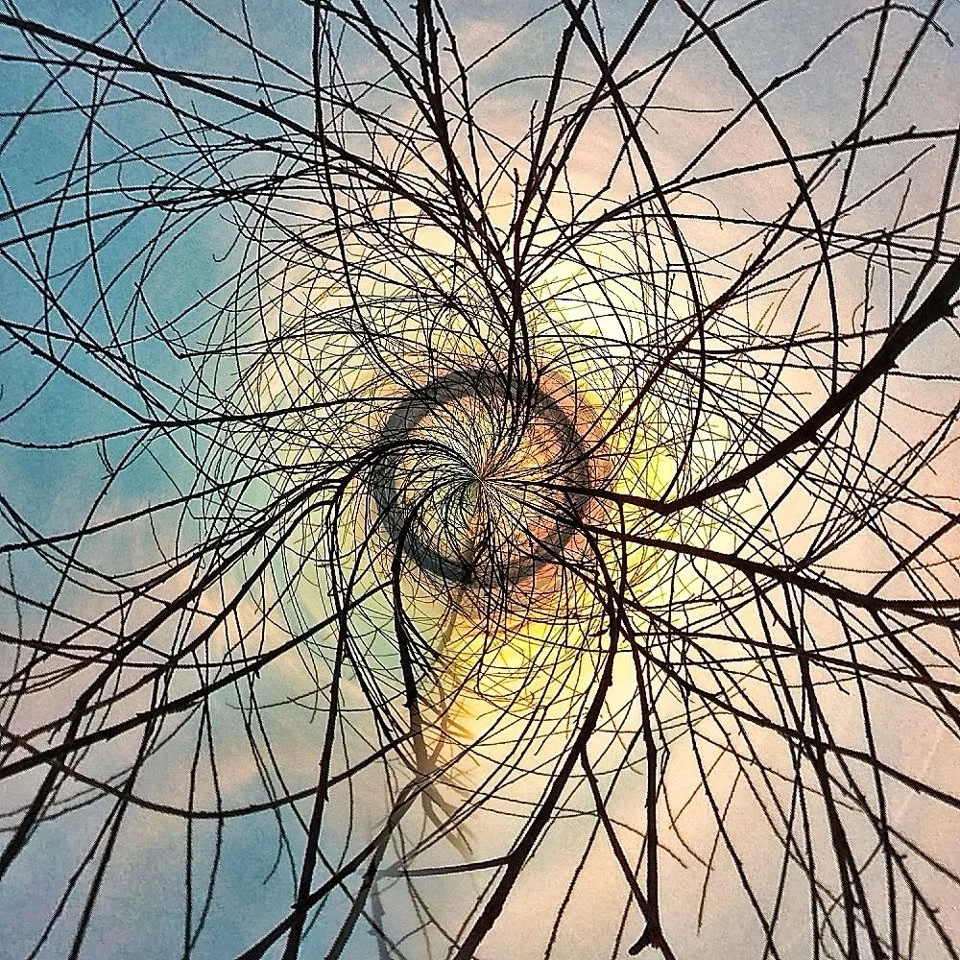 702893_10151225484117797_720059500_n.jpg