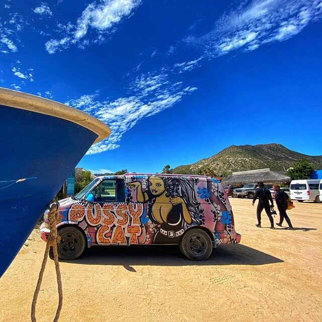 A purrrfect day for snorkeling at Baja&rsquo;s Cabo Pulmo National Park