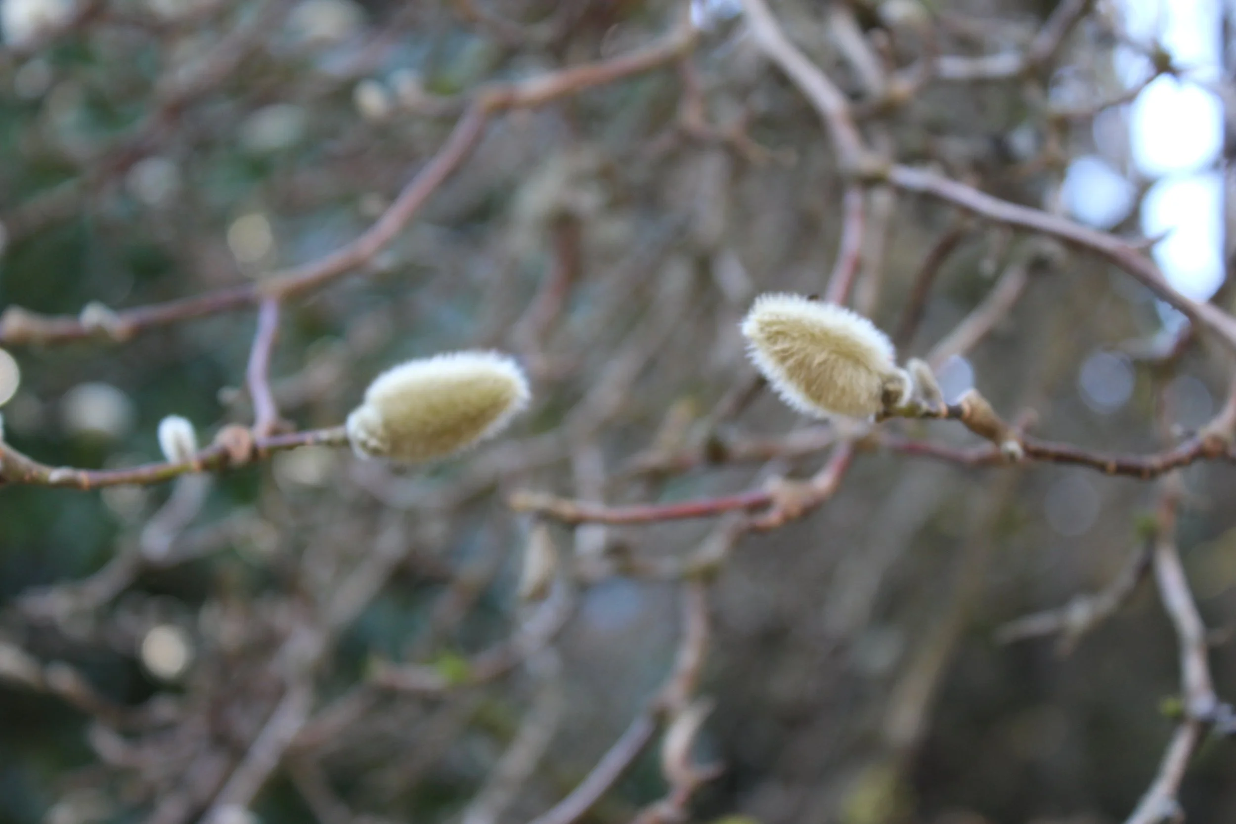 misery loves nothing, thats the point