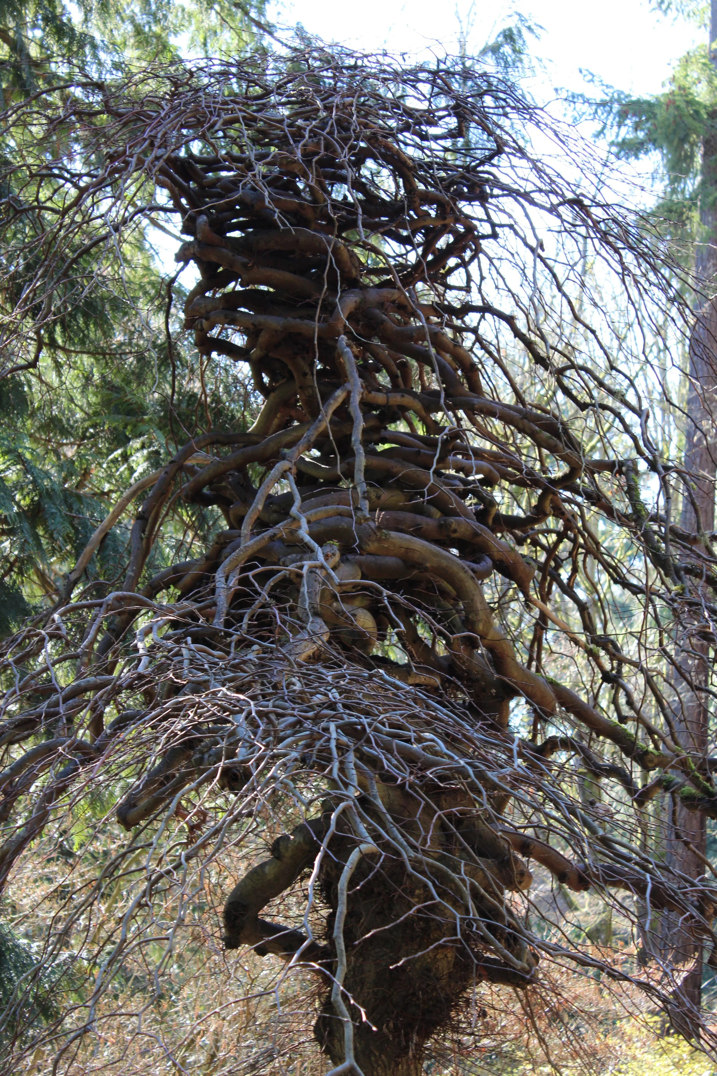 in a hurry to get things done i suppose