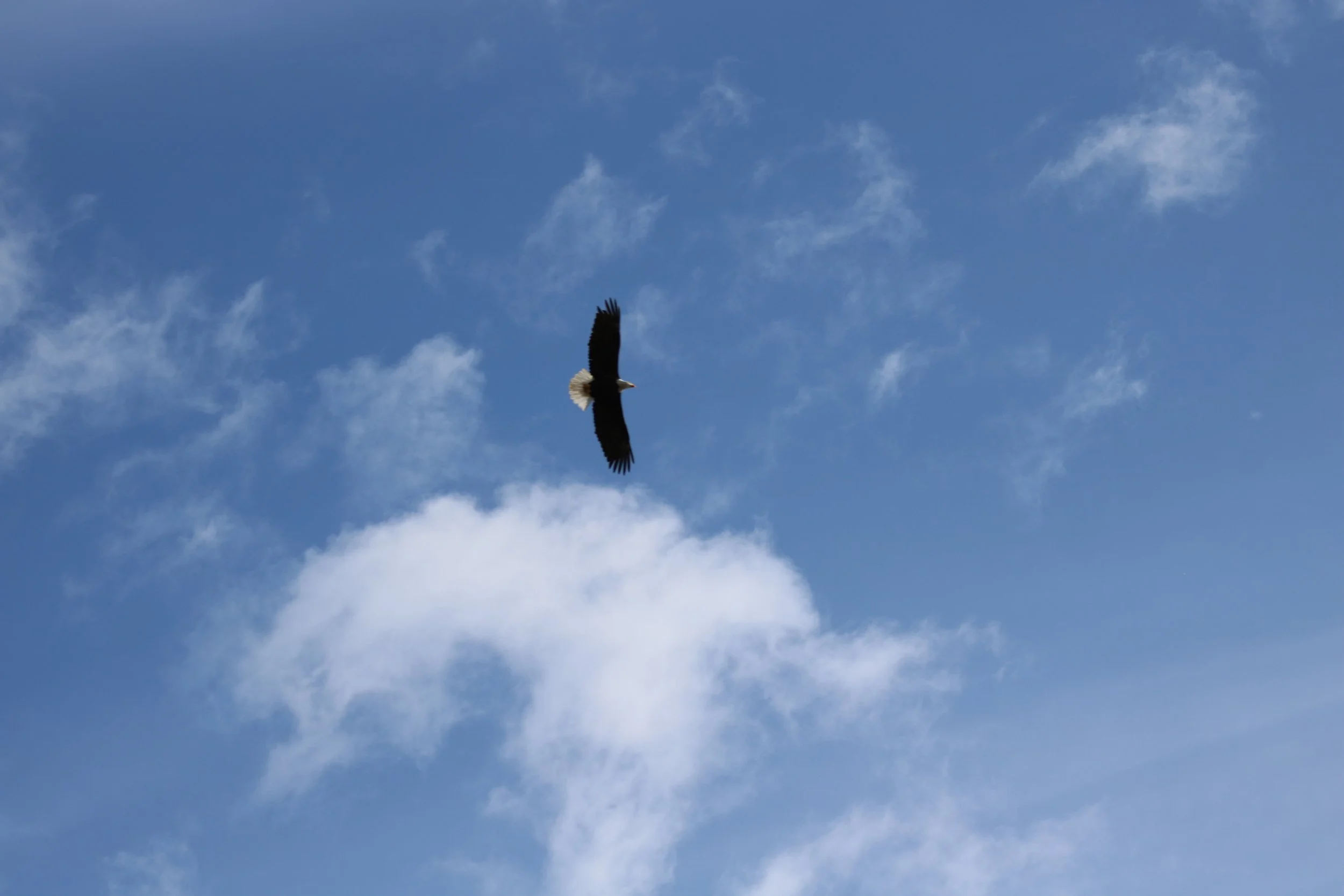 First time I noticed