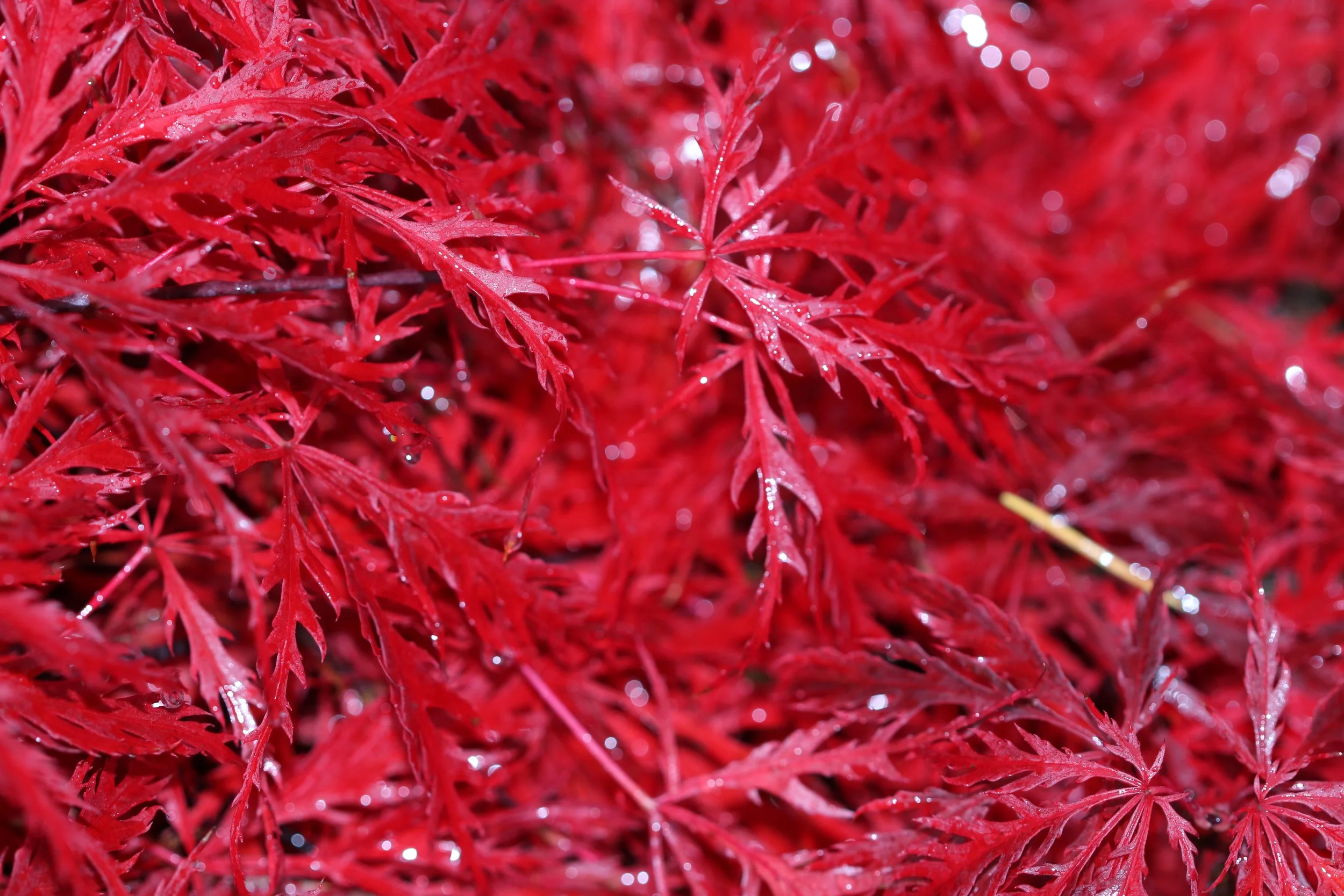 A day without an answer