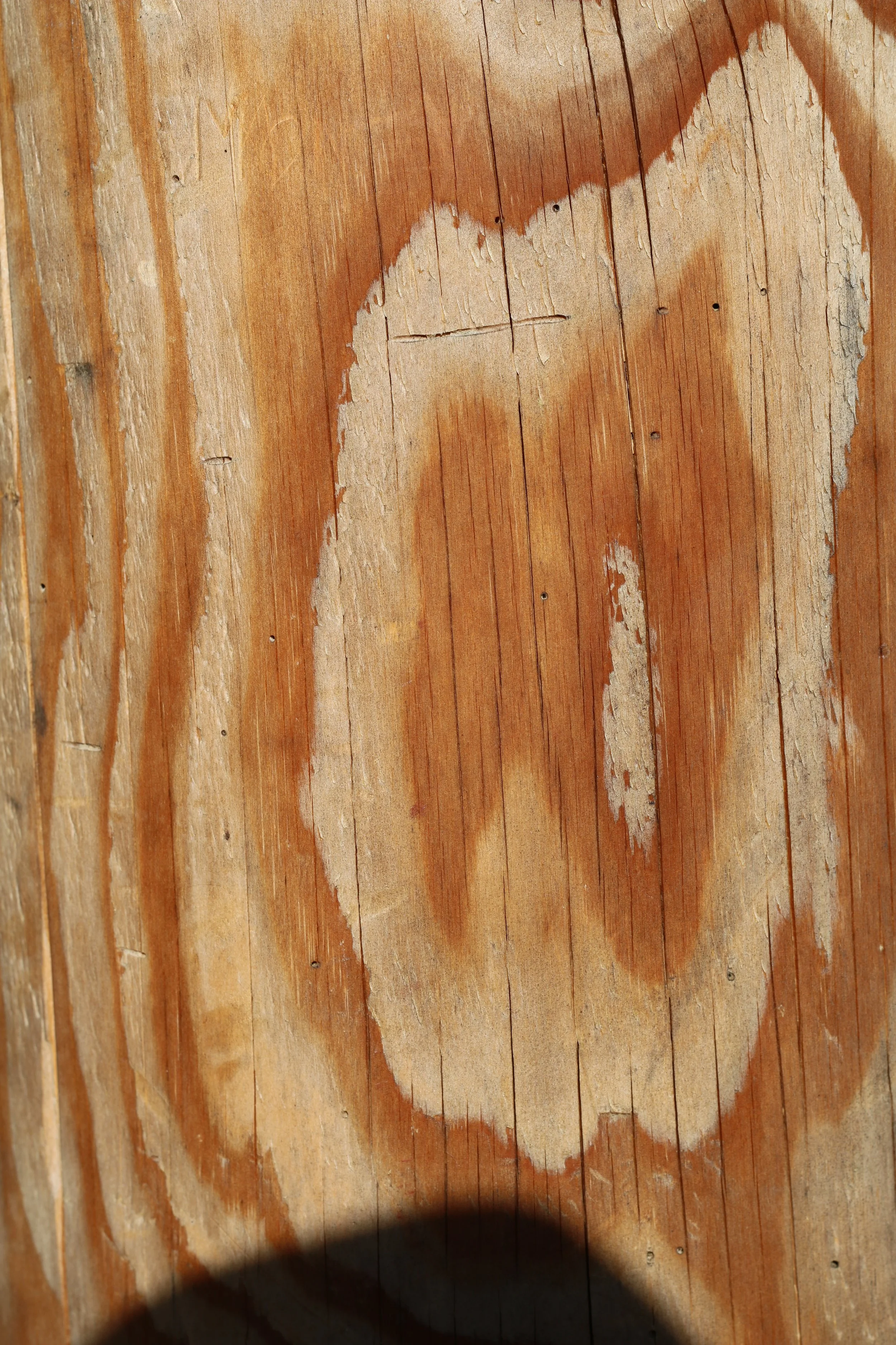 The weight of the world