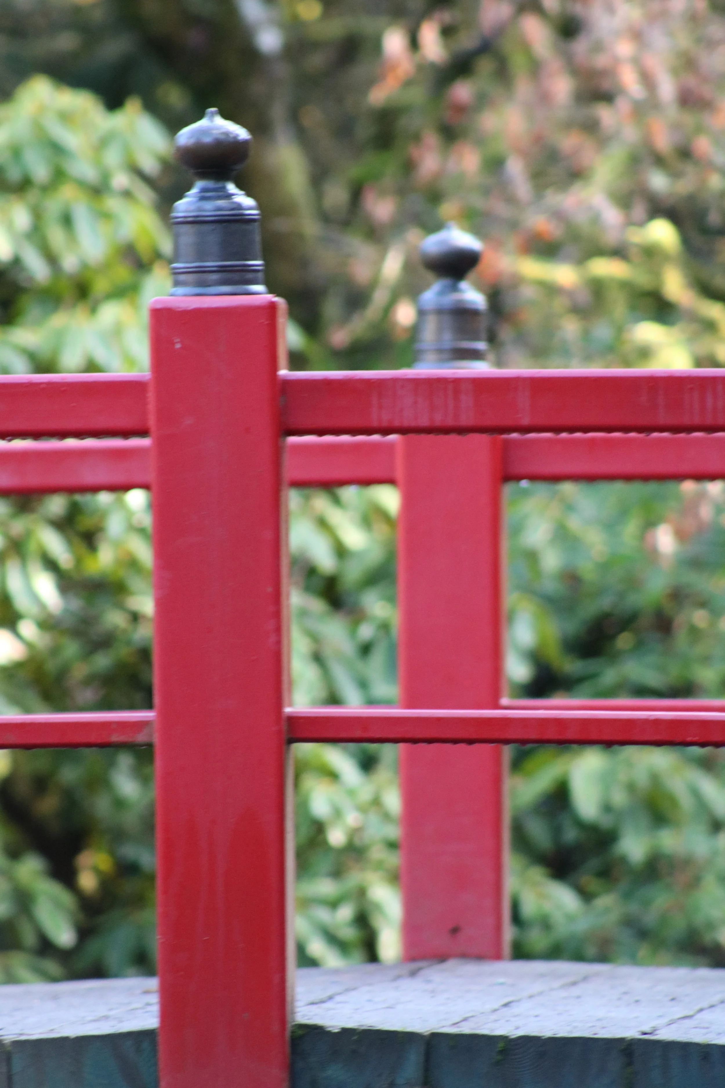 a different kind of family meal