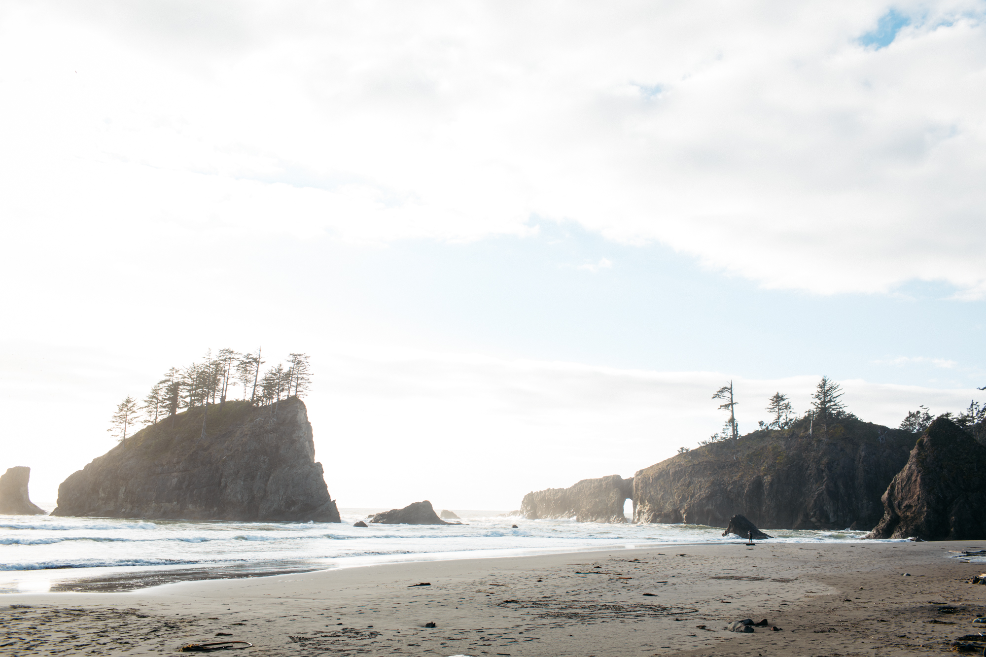 SamErica Studios - La Push Washington Engagement-4.jpg
