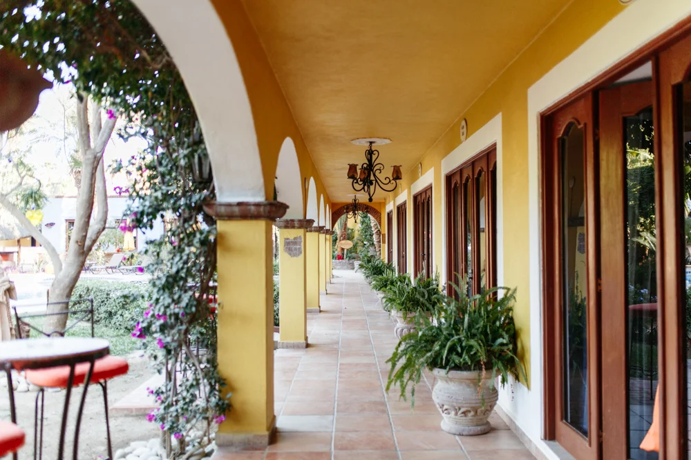 SamErica Studios in Cabo-97.jpg