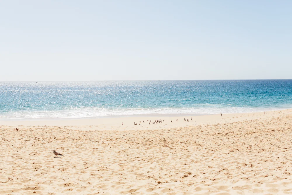 SamErica Studios in Cabo-37.jpg