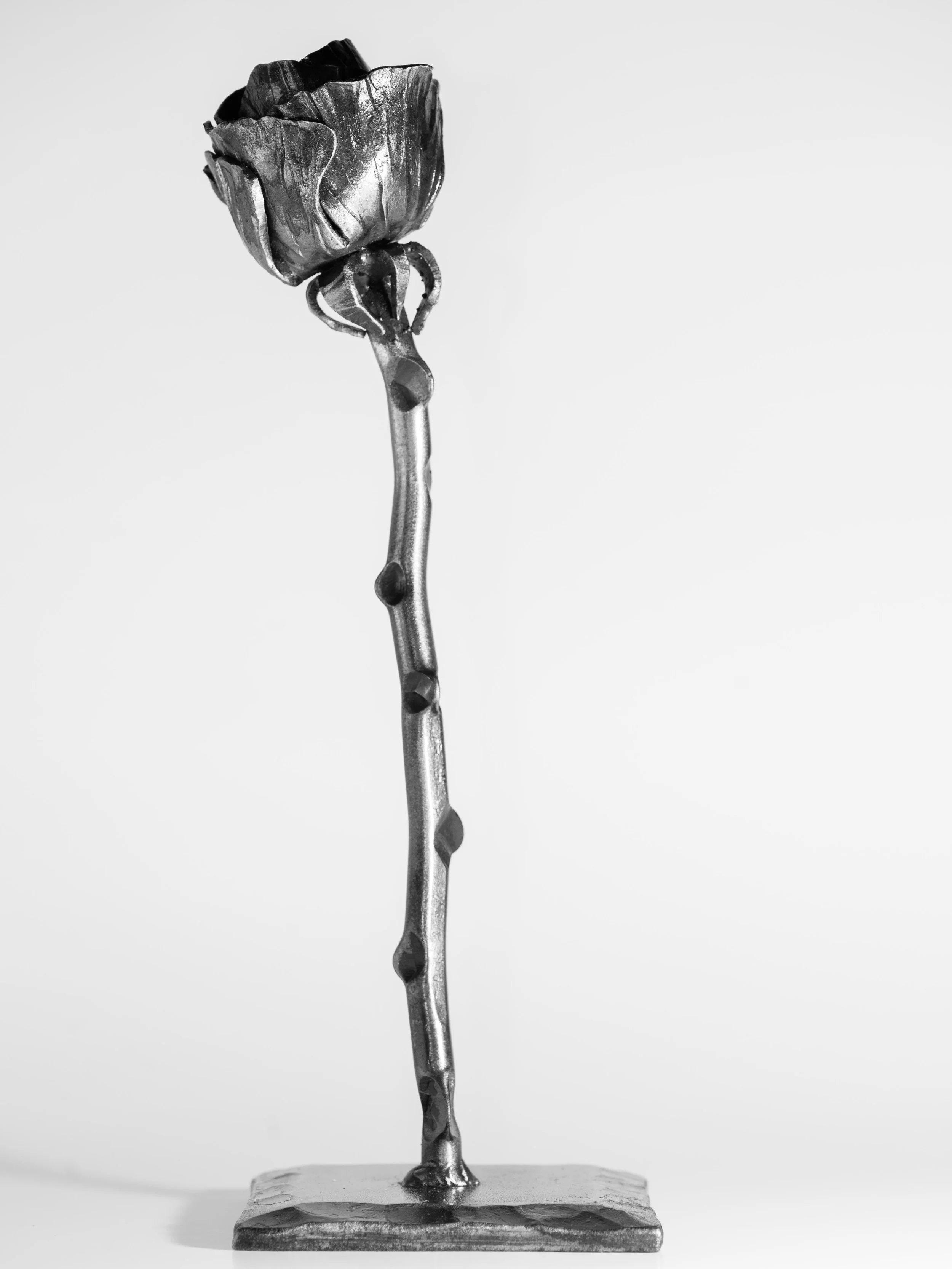 Hand Forged Rose