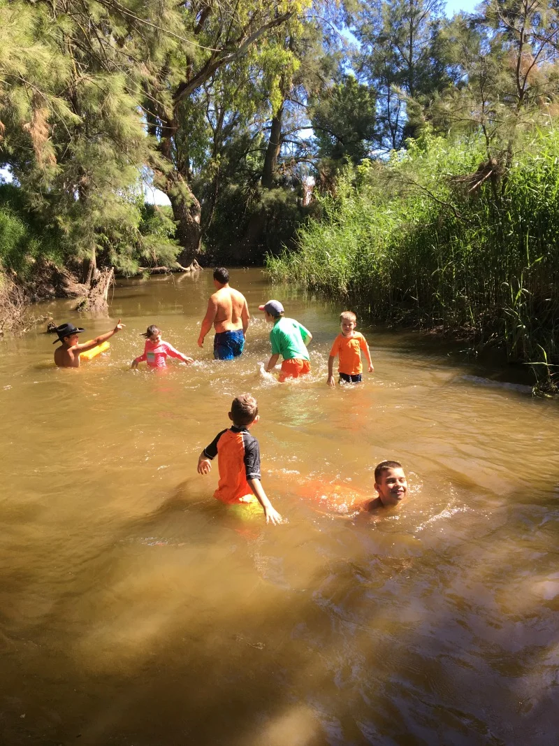 The River