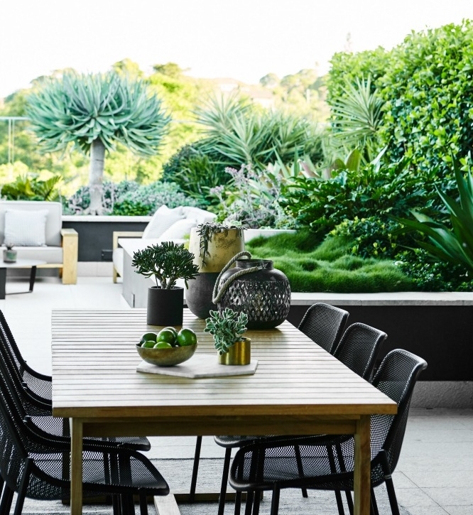 Adam's Garden.....