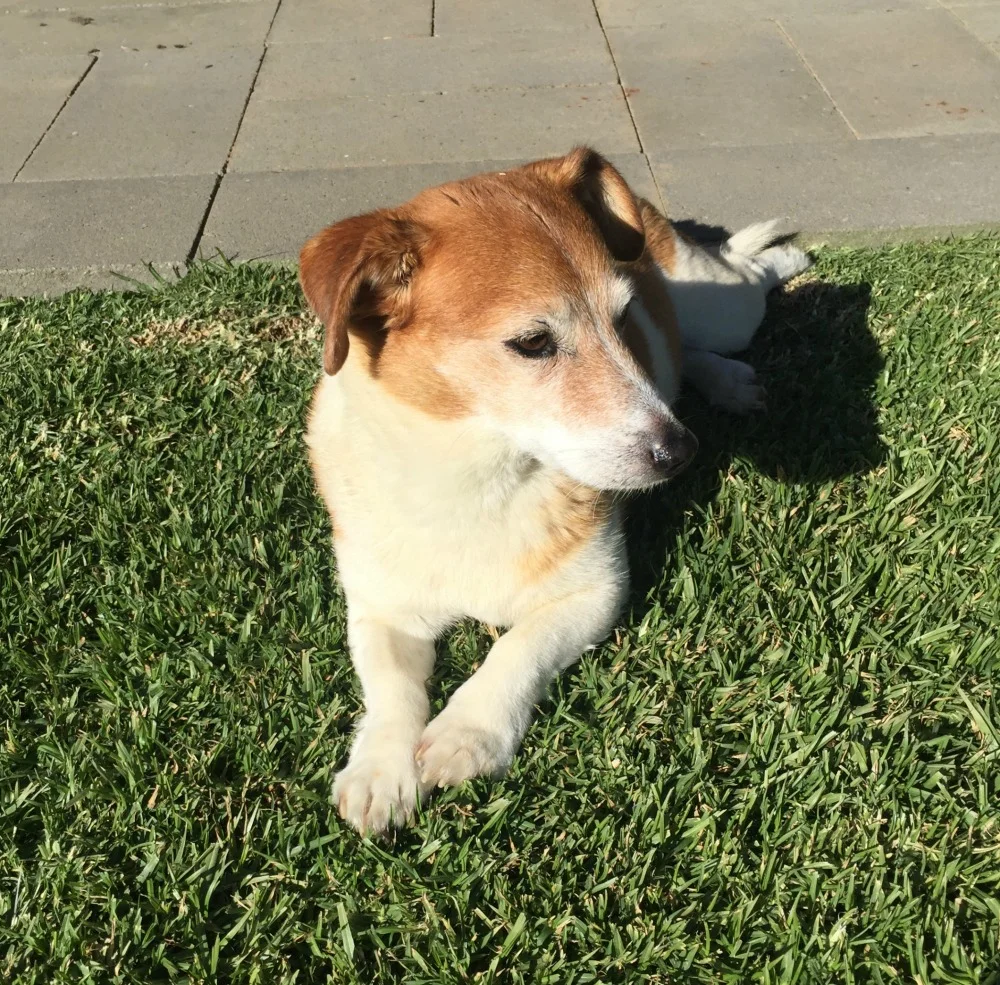 Coco