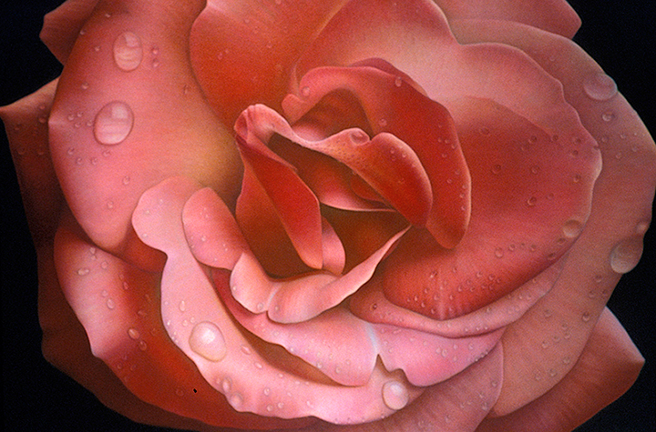 Flower Series #10