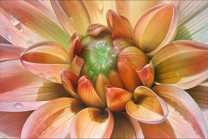 Dahlia Series #11