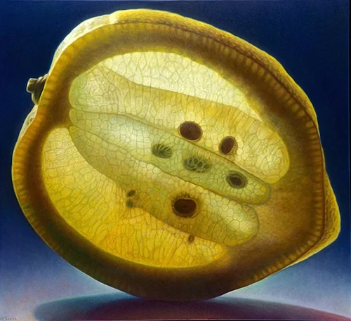 Lemon Series #4