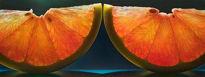 Citrus Series #12