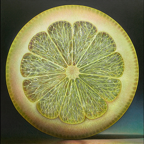Rosettes Series #23