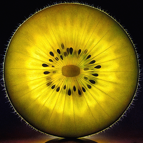 Rosette Series #13