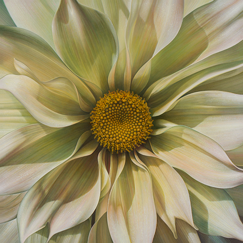 Flower Series #21
