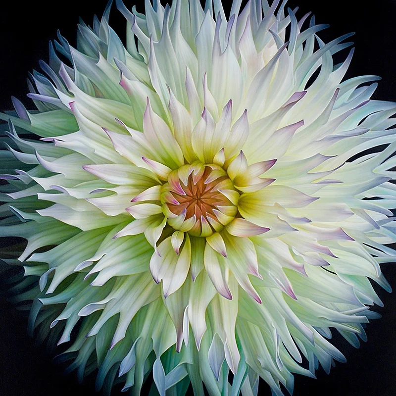 Dahlia-Series-#14_Thumbnail-copy-(2).jpg