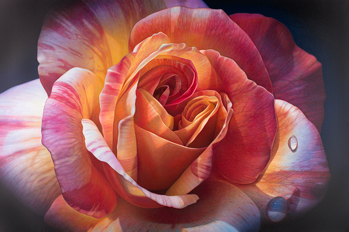 Flower Series #23
